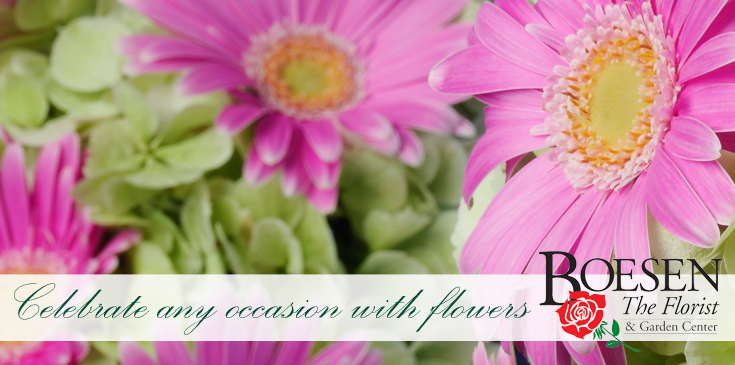 Send flowers for any occasion - Delivered from Boesen the florist.