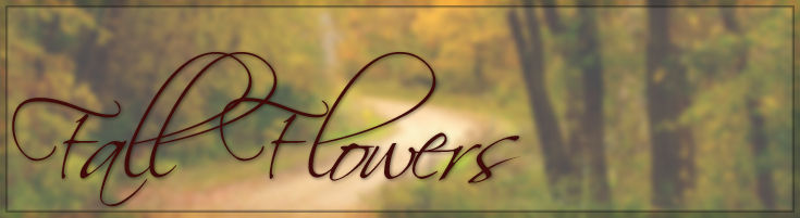 Autumn Specials