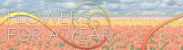 Flowers for a Year