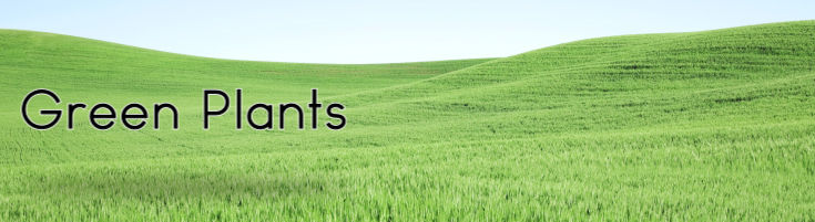 Green Plants