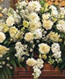 Sympathy Tributes