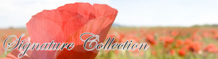 Signature Collection