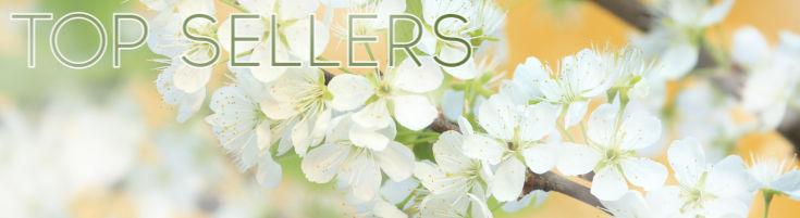 Best Sellers