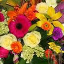 Colorful Arrangement