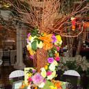 Table Setting - Multicolor
