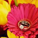 Wedding Rings in Flowers