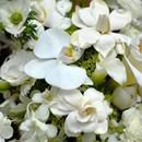 White Arrangement