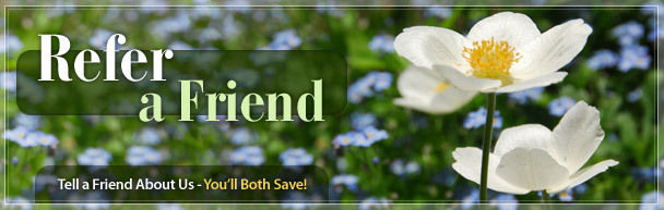 Refer a Friend: Tell a Friend About Us - You'll Both Save!