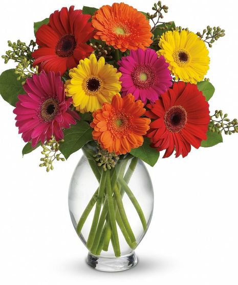 Gerbera Daisy Vase