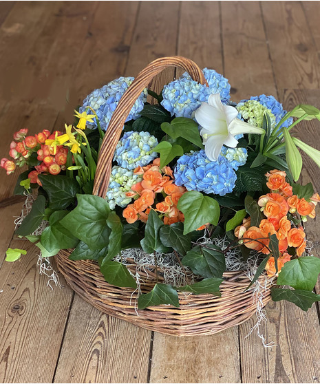 Deluxe Spring Basket