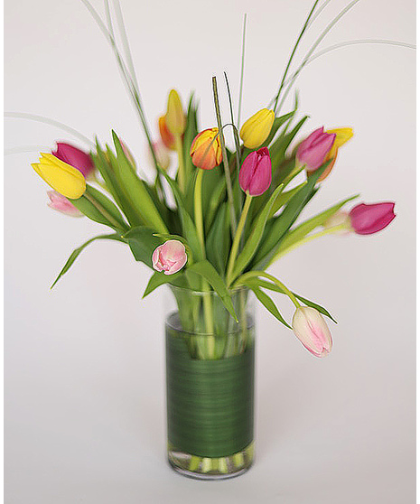 Tulip Bouquet