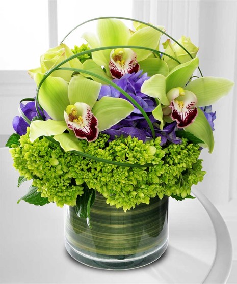 Cymbidium Delight