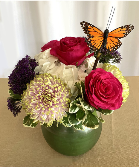 Blooms and Butterflies