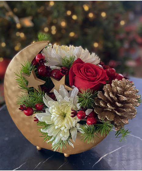 Magical Night Moon and Stars