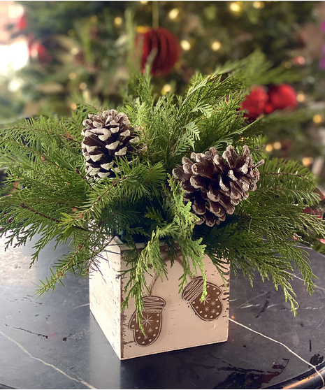 Pinecones and Mittens