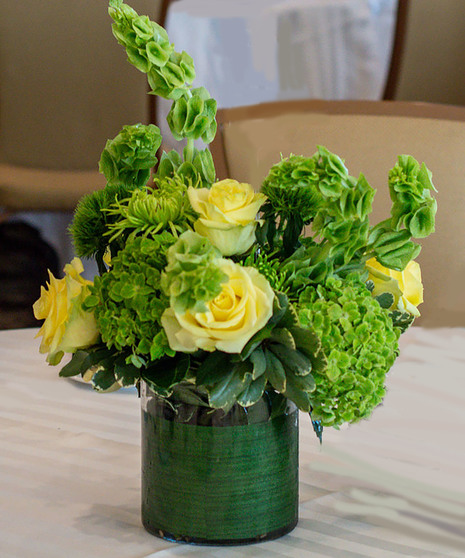 Shamrocks and Shenanigans