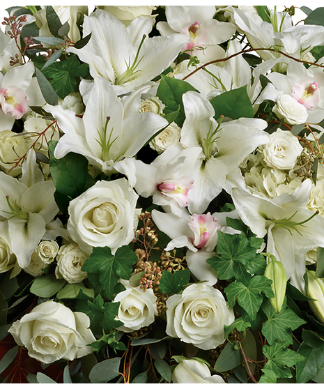 Classic Whites