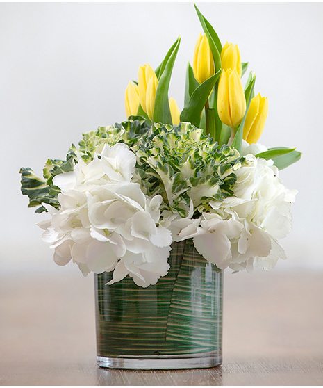 SIMPLE ELEGANCE