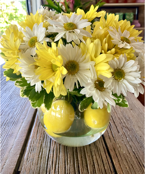 TWIST OF DAISIES