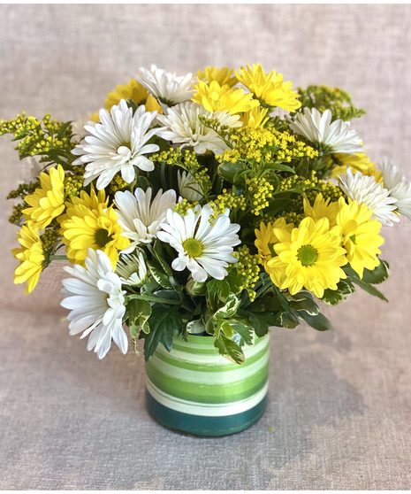 Daisy Delight