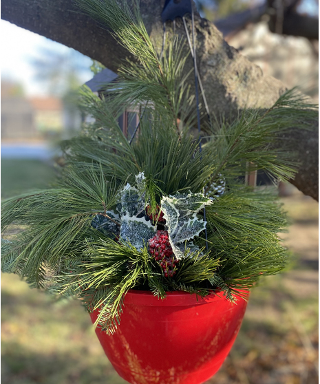 Winter Hanging Basket