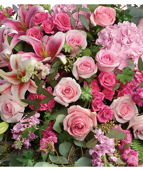 Popular Designers Pink!