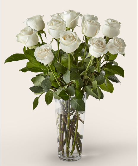 Dozen Roses in a Vase