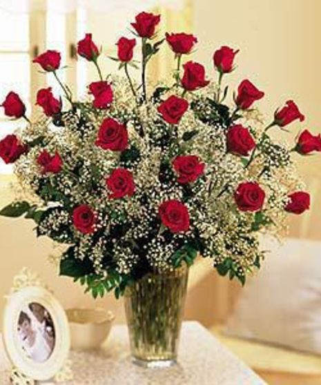 24 Red Roses with Baby Breath
