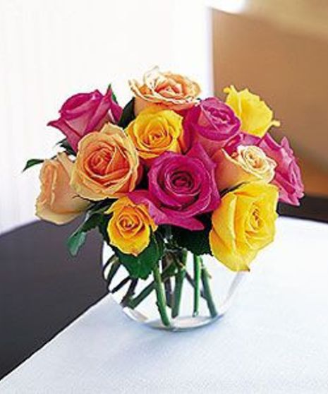 Color Mix Roses