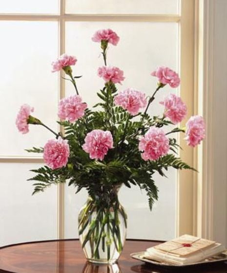 Dozen Pink Carnations