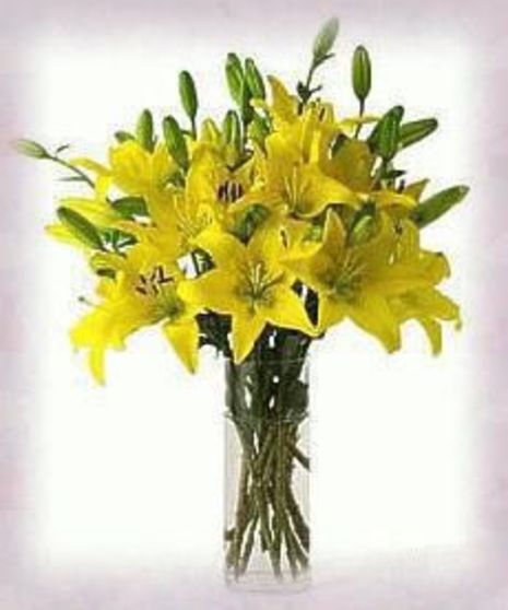 A Vase of Sunshine