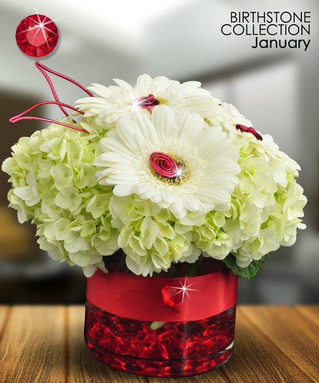 January Birthstone Collection