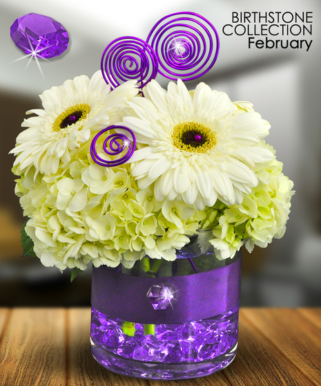 February Birthstone Collection