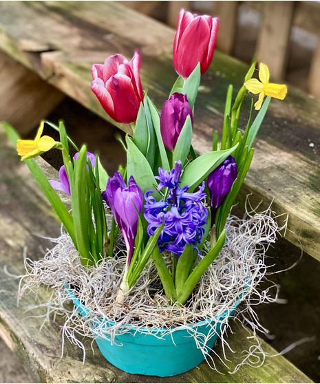 A Bulb Garden Planter