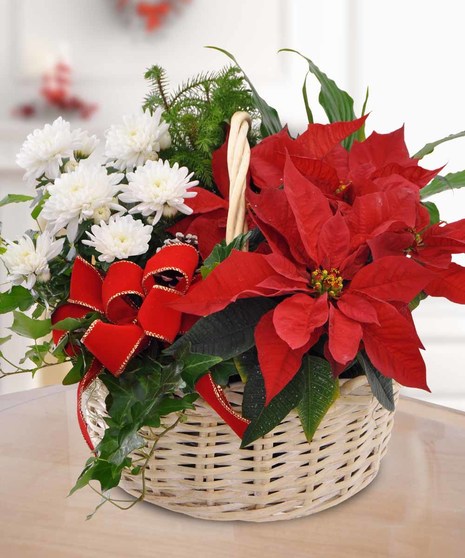 Celebrate with this overflowing basket of holiday flowers!