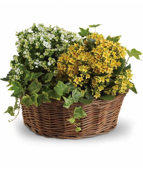 Basket of Joy  European Garden