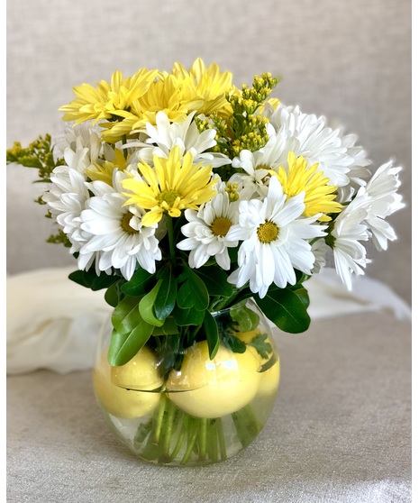 TWIST OF DAISIES