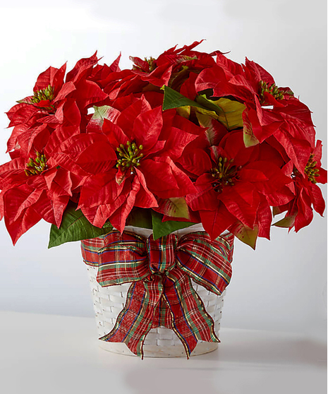 Poinsettia Basket