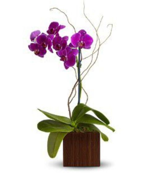 Boutique Floral Designs