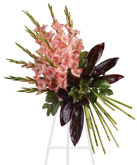 Elegant Tribute Spray