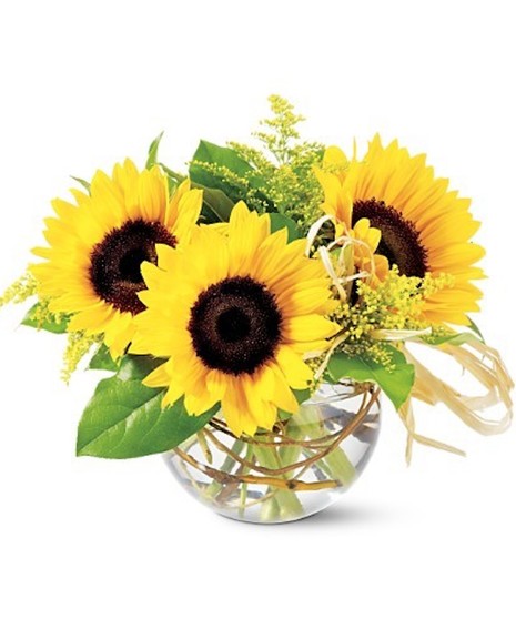 Sunflowers for You