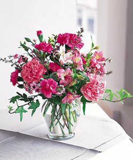 Cheerful Carnations