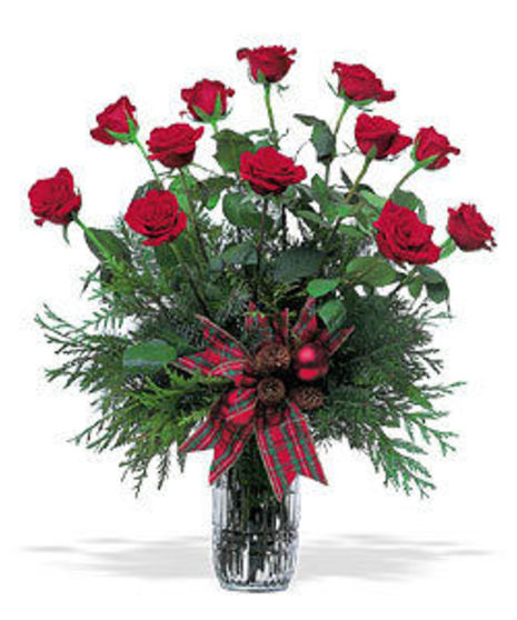 Dozen Christmas Roses