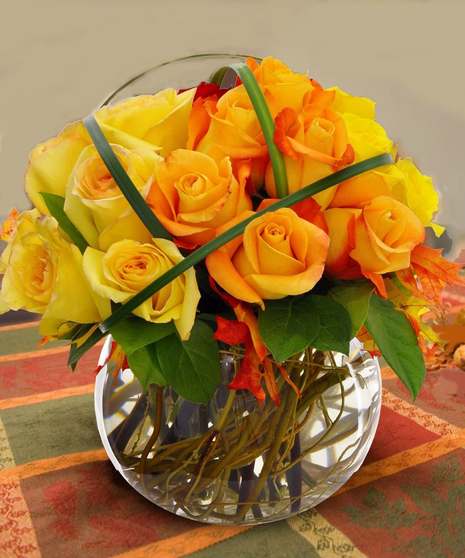 Fall Colored Roses