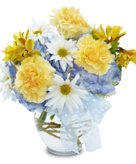 Baby Blossoms-Boesen The Florist