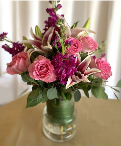 Beauty & Fragrance