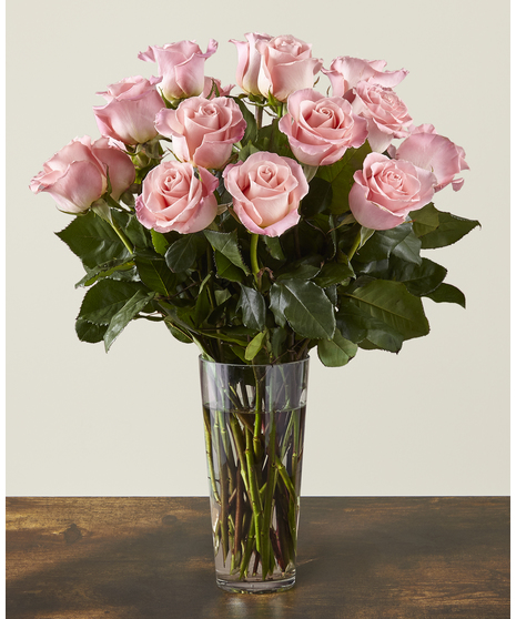 Dozen Roses in a Vase