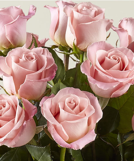 A half-dozen hand picked roses with greenery and baby's breath.