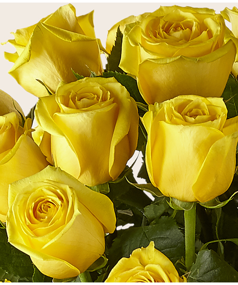A half-dozen hand picked roses with greenery and baby's breath.